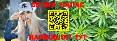 твердый Будённовск