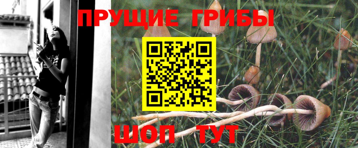 Псилоцибиновые грибы прущие грибы  Вход с VPN  Можайск 